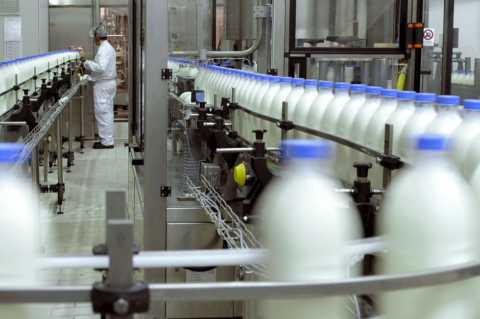 Qué es la pasteurización de la leche Casa del Quesero